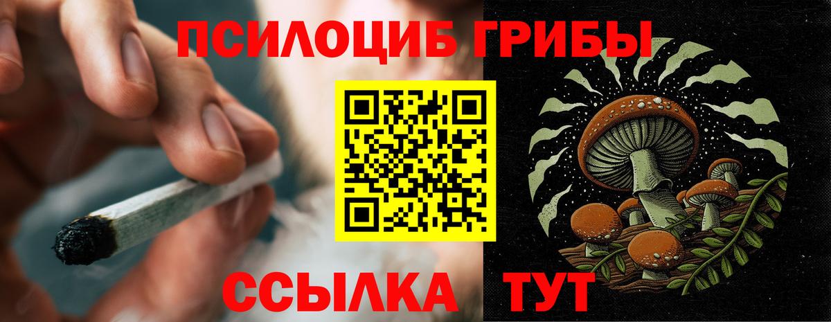 Галлюциногенные грибы MAGIC MUSHROOMS  Псилоцибиновые грибы прущие грибы  Вход с VPN  Касимов 
